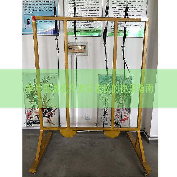 单片机微机开发实验仪的使用指南(图1) 单片机微机开发实验仪的使用指南(图1)